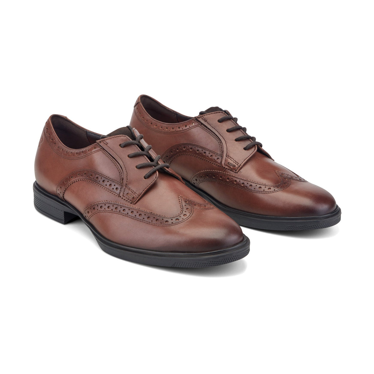 Rockport Signature | Men Keegan Dress Wing Tip Lace-up Oxfords