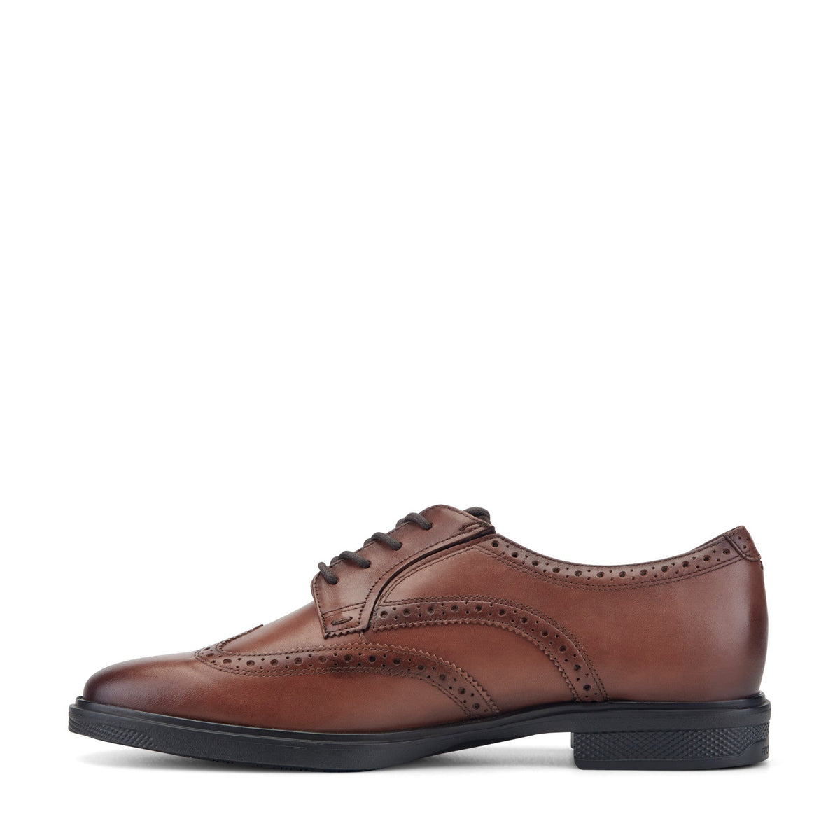 Rockport Signature | Men Keegan Dress Wing Tip Lace-up Oxfords