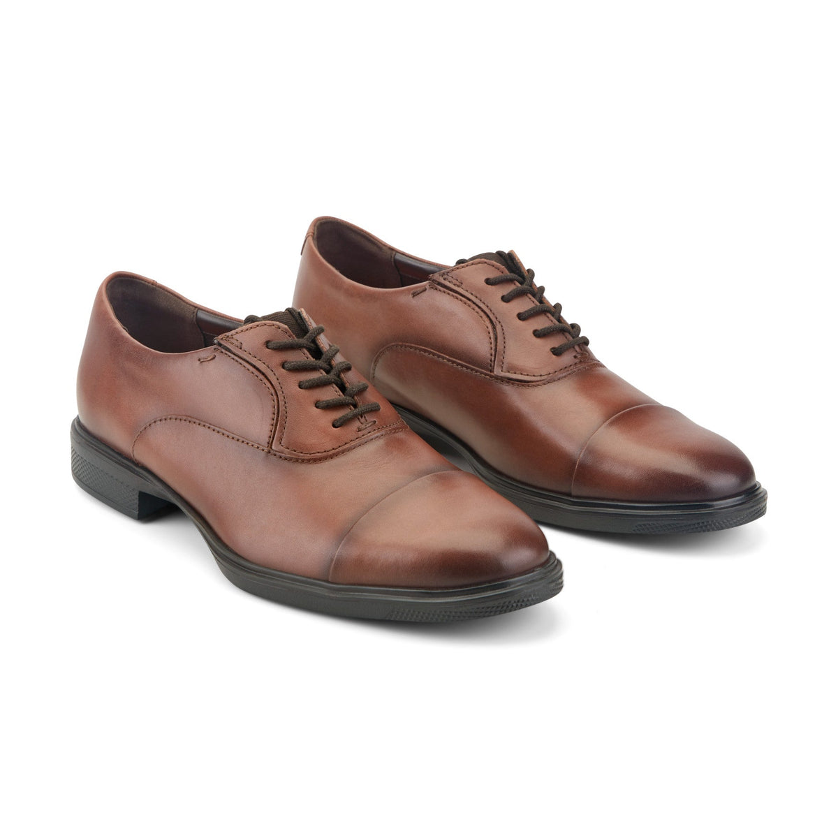 Rockport Signature | Men Keefe Dress Cap Toe Lace-up Oxfords