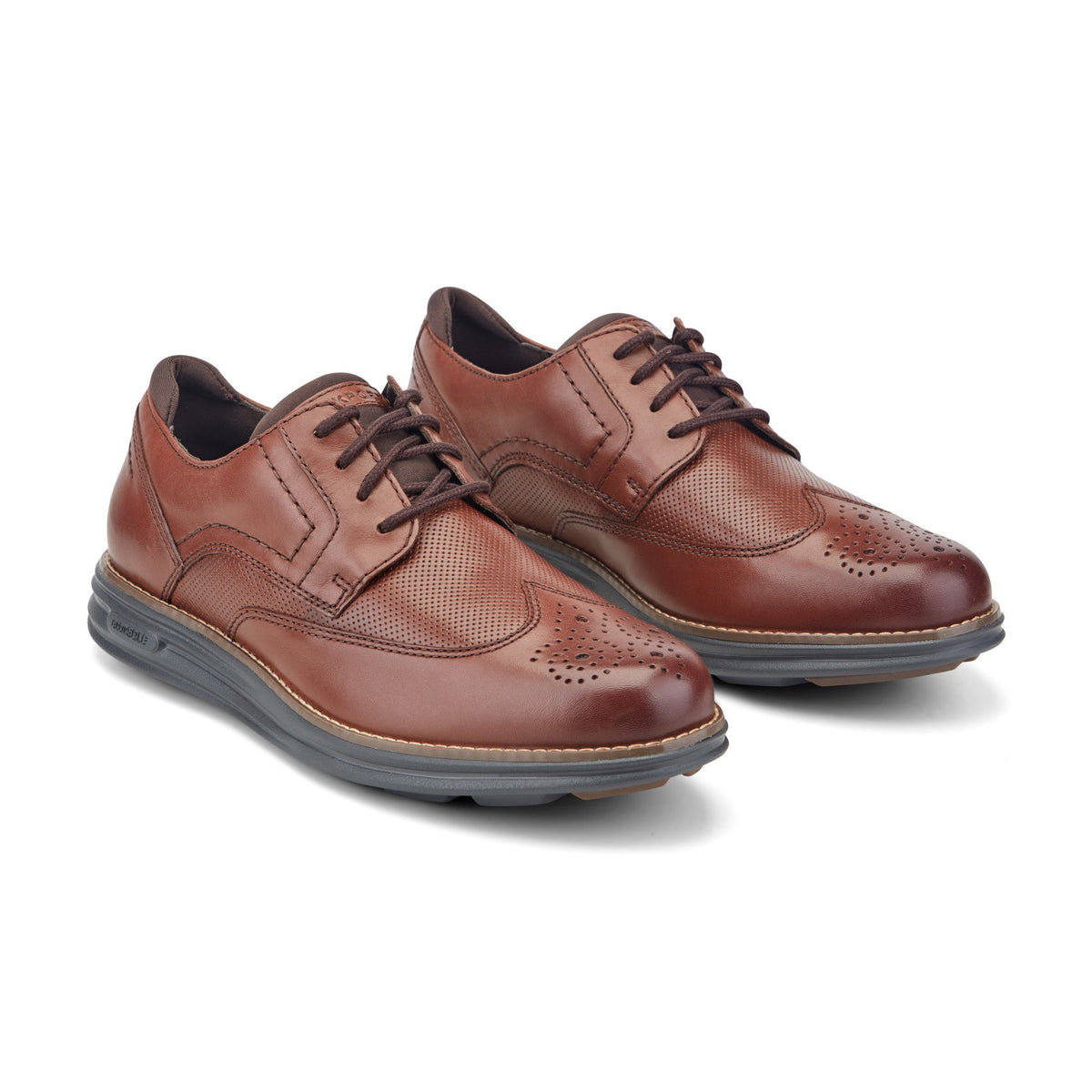 Rockport Everyday | Men Coltin Casual Lace-up Round Toe Shoes