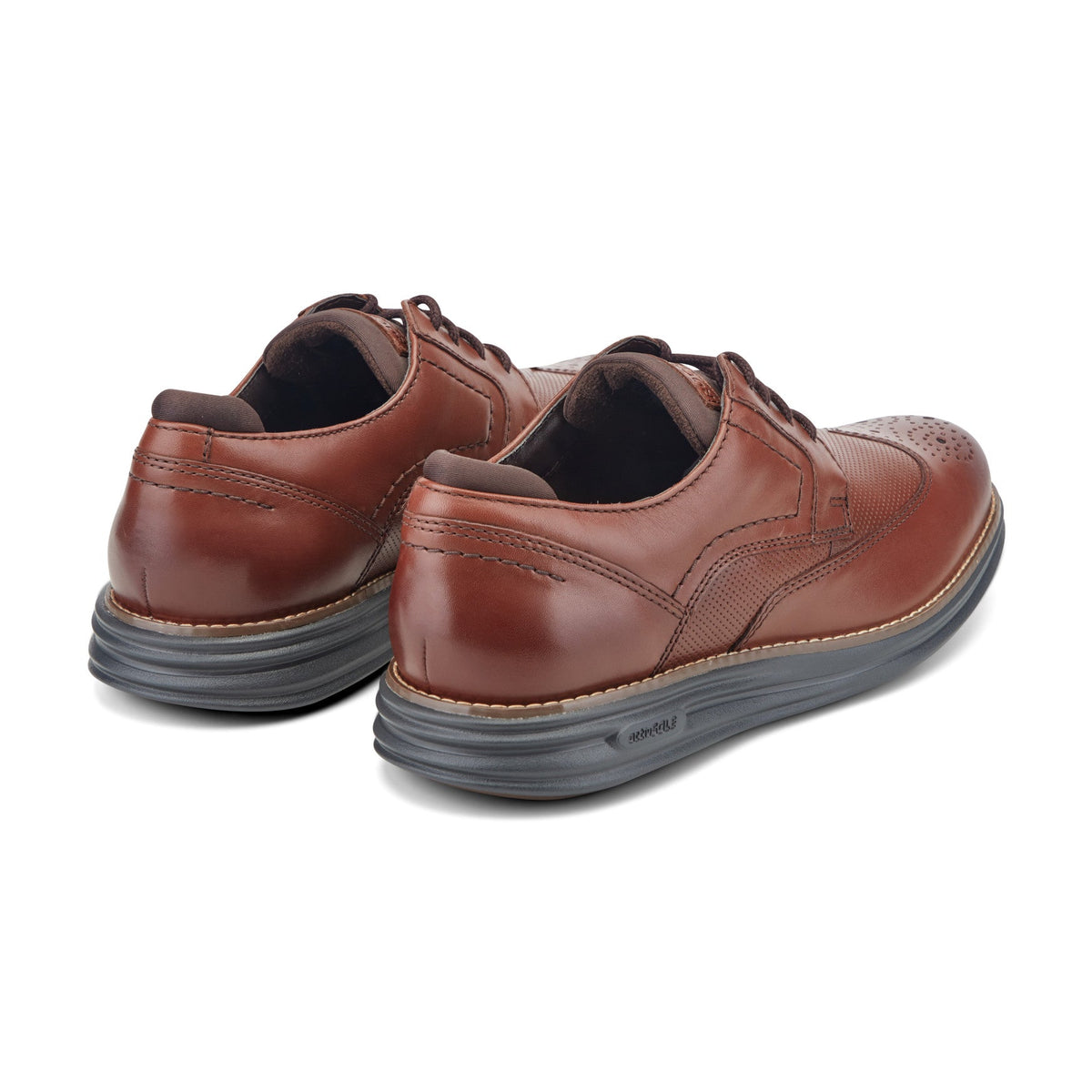 Rockport Everyday | Men Coltin Casual Lace-up Round Toe Shoes